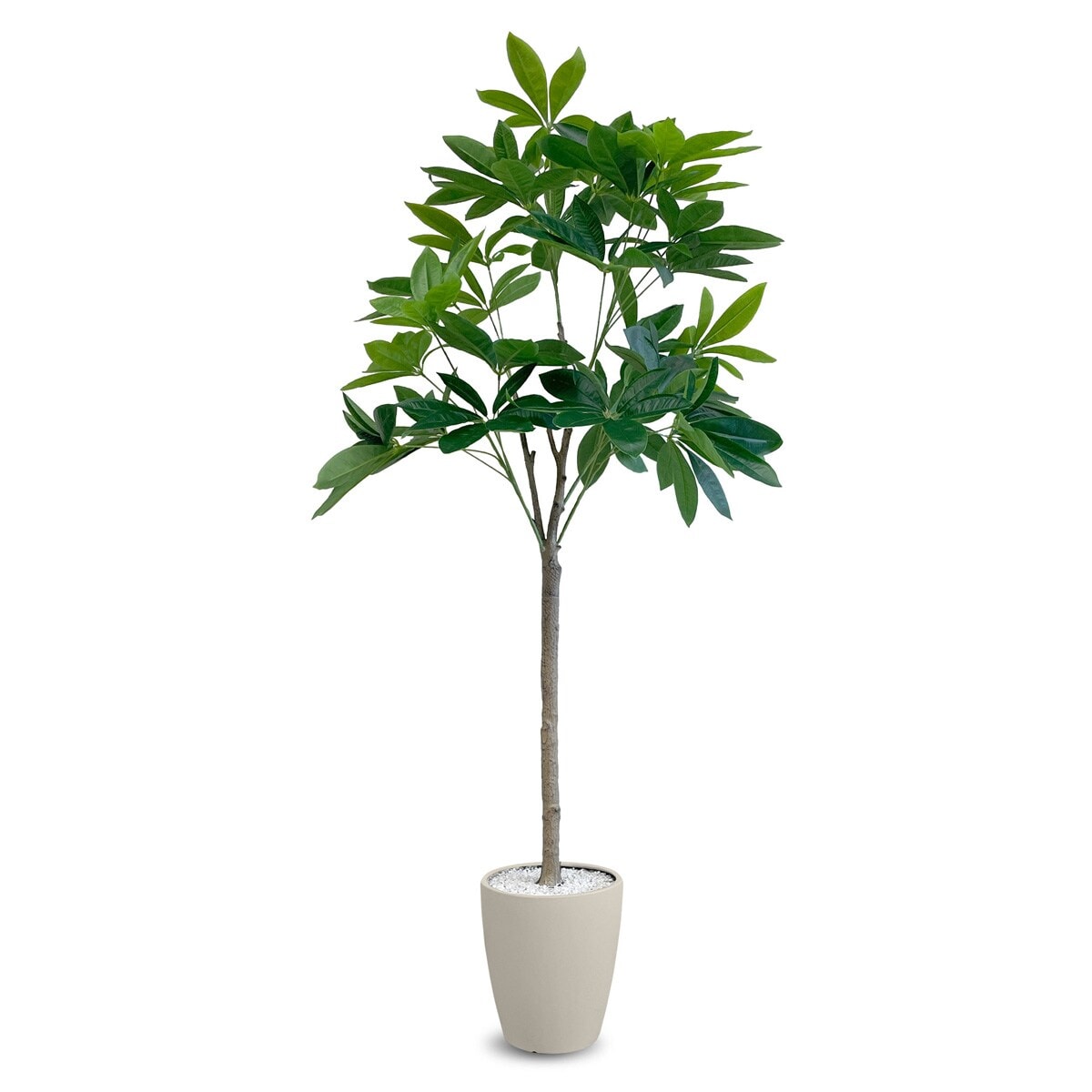 フェイクグリーン　大型　180cm 人工観葉植物 インテリア ニトリ フェイクグリーン 大型 180cm 人工観葉植物 インテリア ニトリ