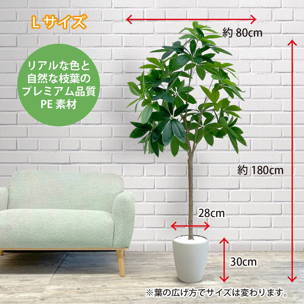 フェイクグリーン(パキラ 180cm アイボリー) | ニトリネット【公式