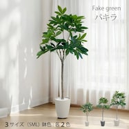 フェイクグリーン(パキラ)