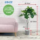 フェイクグリーン(パキラ 120cm グレー) 4枚目画像