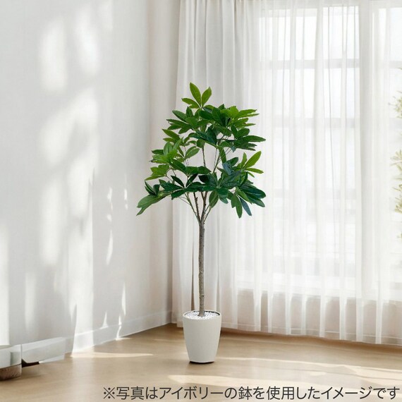 フェイクグリーン(パキラ 120cm グレー) 7枚目画像