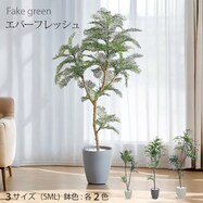 フェイクグリーン(エバーフレッシュ)