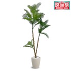 フェイクグリーン(エバーフレッシュ 120cm アイボリー) 1枚目画像