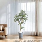 フェイクグリーン(エバーフレッシュ 120cm アイボリー) 7枚目画像