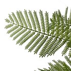 フェイクグリーン(エバーフレッシュ 120cm アイボリー) 8枚目画像