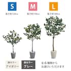 フェイクグリーン(ユーカリ 180cm アイボリー) 3枚目画像