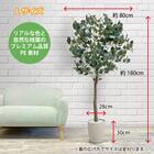 フェイクグリーン(ユーカリ 180cm アイボリー) 4枚目画像