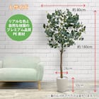 フェイクグリーン(ユーカリ 180cm アイボリー) 4枚目画像
