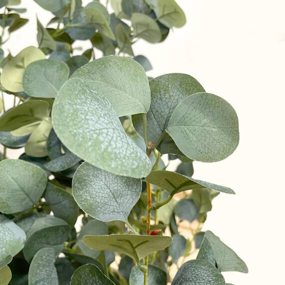 フェイクグリーン(ユーカリ 180cm アイボリー) 8枚目画像