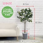 フェイクグリーン(ユーカリ 150cm アイボリー) 4枚目画像