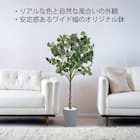 フェイクグリーン(ユーカリ 150cm アイボリー) 5枚目画像