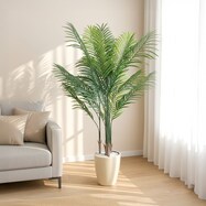 光触媒フェイクグリーン アレカヤシ