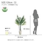 光触媒フェイクグリーン アレカヤシ SSサイズ(高さ90cm) 9枚目画像