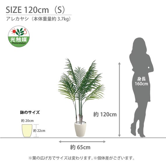 光触媒フェイクグリーン アレカヤシ SSサイズ(高さ90cm) 9枚目画像