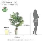 光触媒フェイクグリーン アレカヤシ SSサイズ(高さ90cm) 10枚目画像