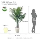 光触媒フェイクグリーン アレカヤシ SSサイズ(高さ90cm) 11枚目画像