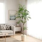 光触媒フェイクグリーン エバーフレッシュ Sサイズ(高さ120cm) 1枚目画像