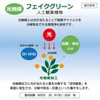 光触媒フェイクグリーン エバーフレッシュ Sサイズ(高さ120cm) 3枚目画像