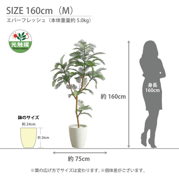 光触媒フェイクグリーン エバーフレッシュ Sサイズ(高さ120cm) 9枚目画像