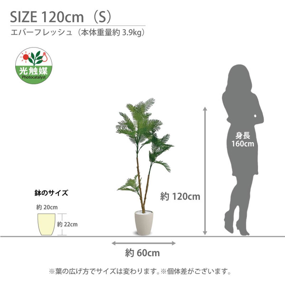 光触媒フェイクグリーン エバーフレッシュ Lサイズ(高さ180cm