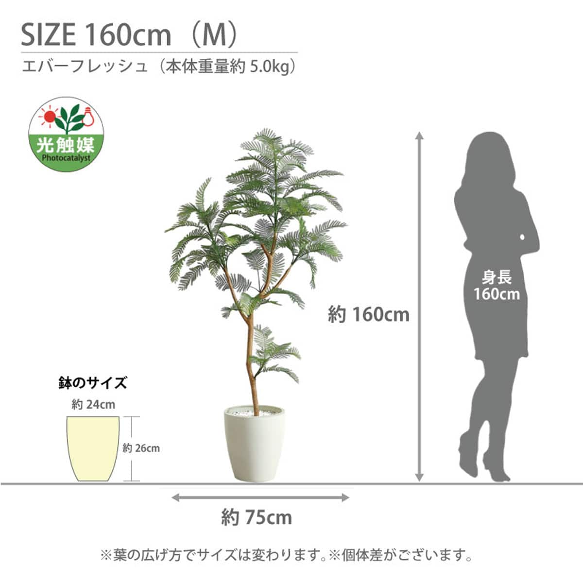 光触媒フェイクグリーン エバーフレッシュ Lサイズ(高さ180cm