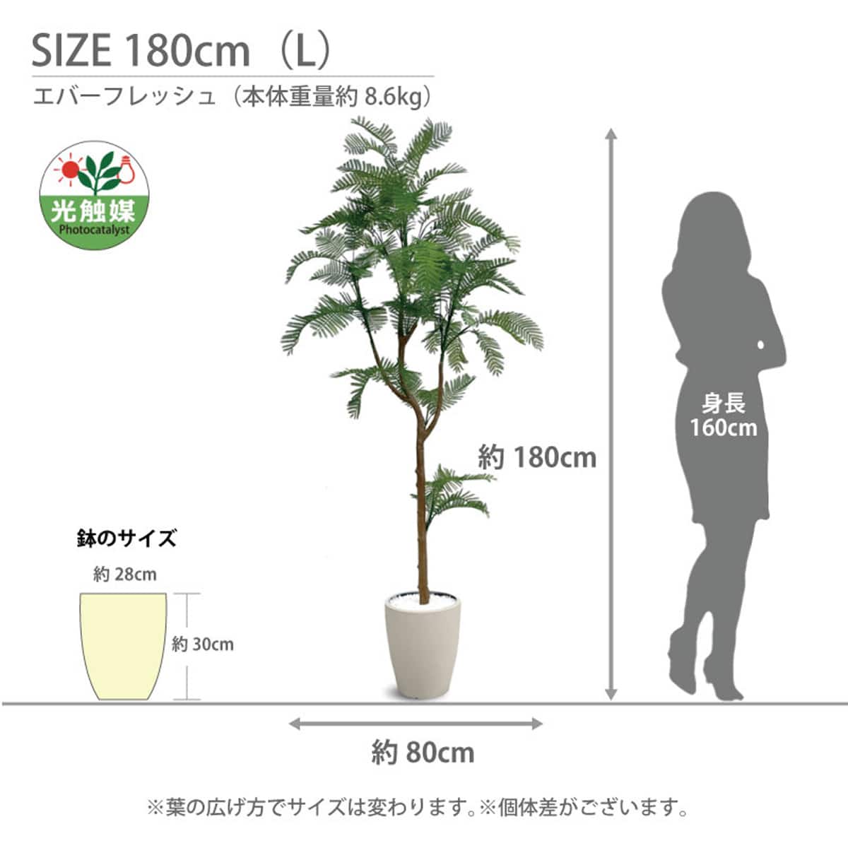 光触媒フェイクグリーン エバーフレッシュ Lサイズ(高さ180cm