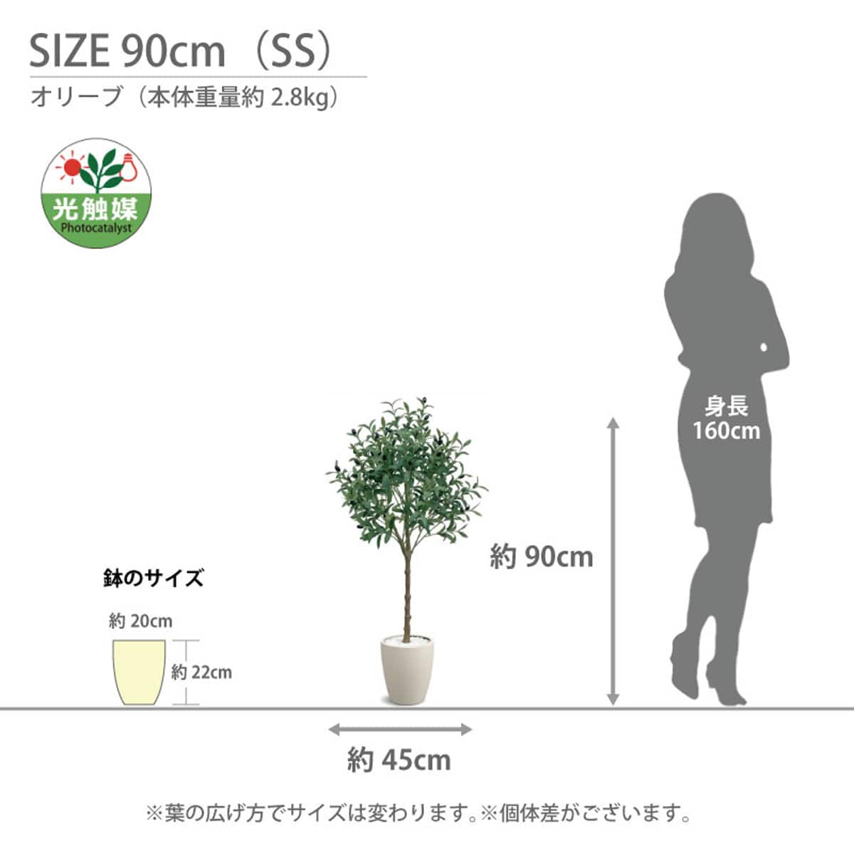 光触媒フェイクグリーン オリーブ SSサイズ(高さ90cm) | ニトリネット