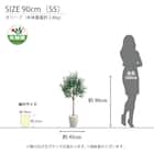 光触媒フェイクグリーン オリーブ SSサイズ(高さ90cm) 8枚目画像