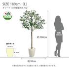 光触媒フェイクグリーン オリーブ SSサイズ(高さ90cm) 11枚目画像