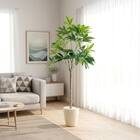 光触媒フェイクグリーン パキラ SSサイズ(高さ90cm) 1枚目画像