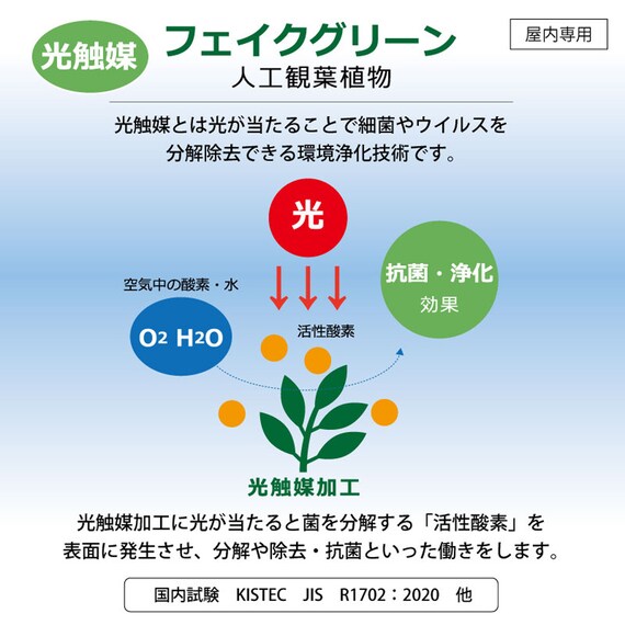 光触媒フェイクグリーン パキラ SSサイズ(高さ90cm) 3枚目画像