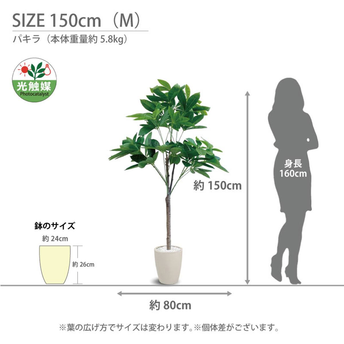 光触媒フェイクグリーン パキラ SSサイズ(高さ90cm) | ニトリネット