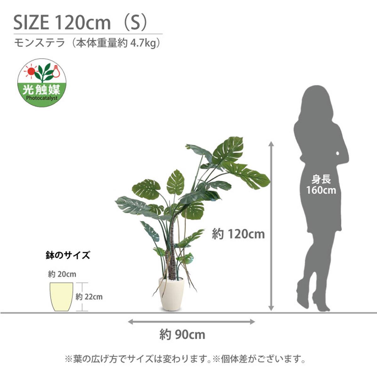 光触媒フェイクグリーン モンステラ Mサイズ(高さ150cm) | ニトリ