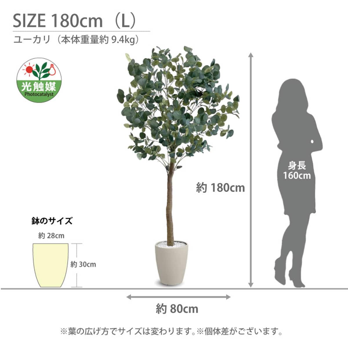 光触媒フェイクグリーン ユーカリ Sサイズ(高さ120cm) | ニトリネット