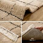 BOHOスタイル ウィルトンシャギーラグ(100×140cm リシャド/アイボリー) 10枚目画像