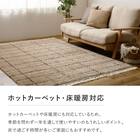 BOHOスタイル ウィルトンシャギーラグ(100×140cm クロア) 8枚目画像