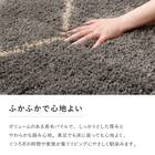 BOHOスタイル ウィルトンシャギーラグ(100×140cm ケユラ) 7枚目画像