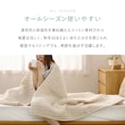 軽すぎず、安心感のあるガーゼケット(ライン 90x120 BE) 11枚目画像