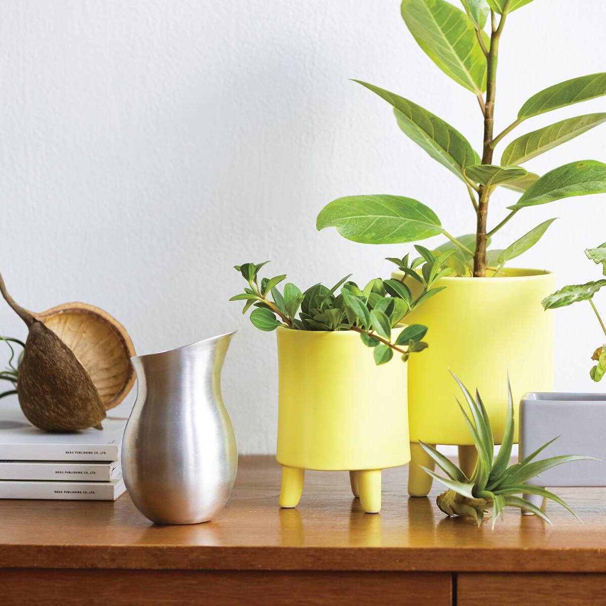 水やりにちょうど良いアルミの水差し(Sサイズ) | ニトリネット【公式