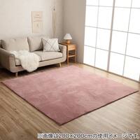 韓国風シンプルラグ 200×300cm (LPC PI)