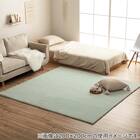 韓国風シンプルラグ 140×200cm (LPC GR) 2枚目画像