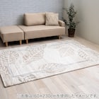 ウィルトンラグ ルアン 80×140cm 1枚目画像