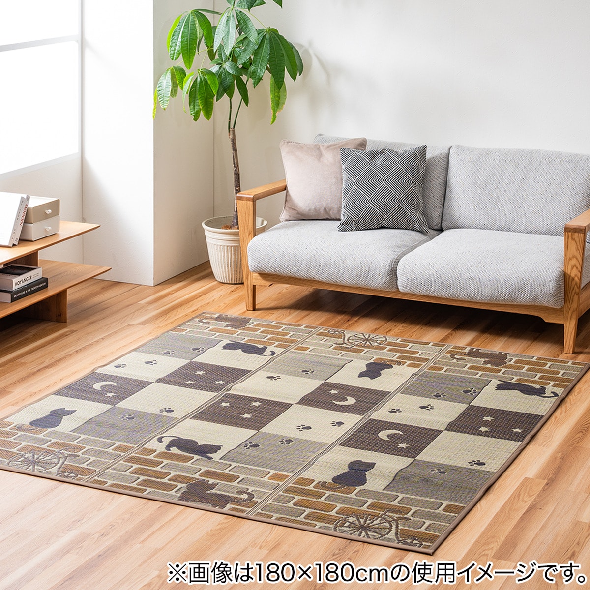 い草ラグ ソラネコ (180×240cm) | ニトリネット【公式】 家具