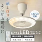 ルミナスLEDライト付きファン (引掛けモデル) 2枚目画像