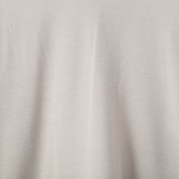 ラメ天竺ハイネックプルオーバー (62116) 3枚目画像