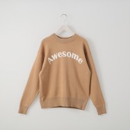 Ａｗｅｓｏｍｅロゴニットプルオーバー　(72130)