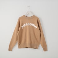 Awesomeロゴニットプルオーバー (72130)
