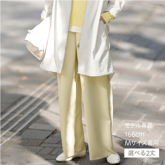 ソフトストレッチセミワイドパンツレギュラー丈　(25101) 1枚目画像