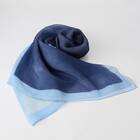 カラーブロッキングシアープリーツストール　(95111) 5枚目画像