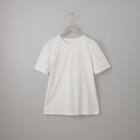 艶やかシルケットＴシャツ　(65111) 7枚目画像